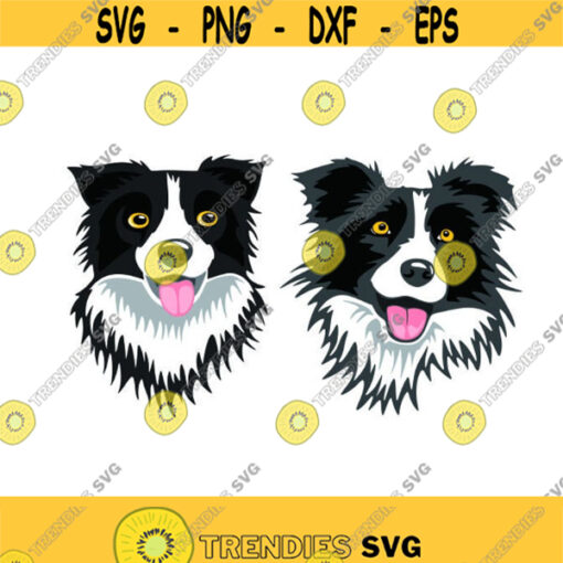 Boarder Collie Dog Cuttable Design SVG PNG DXF eps Designs Cameo File Silhouette Design 1491