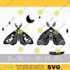 Boho butterfly SVG Celestial moth SVG cricut files Mystical Butterfly PNG clipart Moth silhouette Witchy Space Insect popular svg