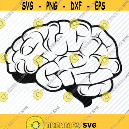 Brain 2 SVG File For cricut Brians Vector Images Clipart Human Brain SVG cut image Eps Png Dxf Stencil Clip Art Human mind science Design 148