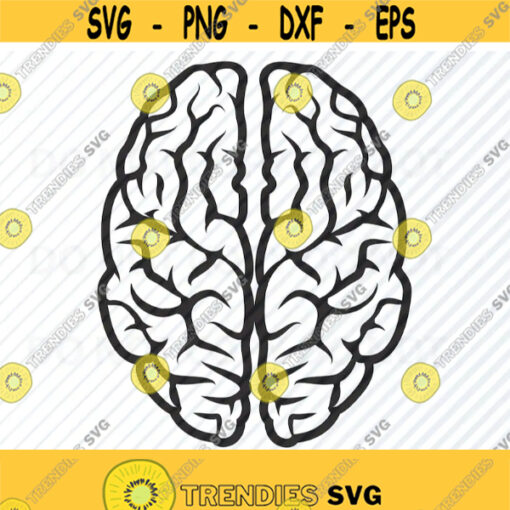 Brain SVG File For cricut Brians Vector Images Clipart Human Brain SVG cut image Eps Png Dxf Stencil Clip Art Human mind science Design 524