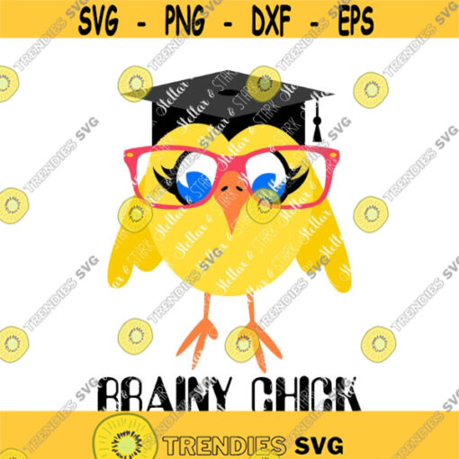 Brainy Chick Graduation SVG Graduation SVG Female Grad SVG Baby Chick Svg Grad Chick Clip Art Grad Brainy Chick Svg School Svg Design 191 .jpg