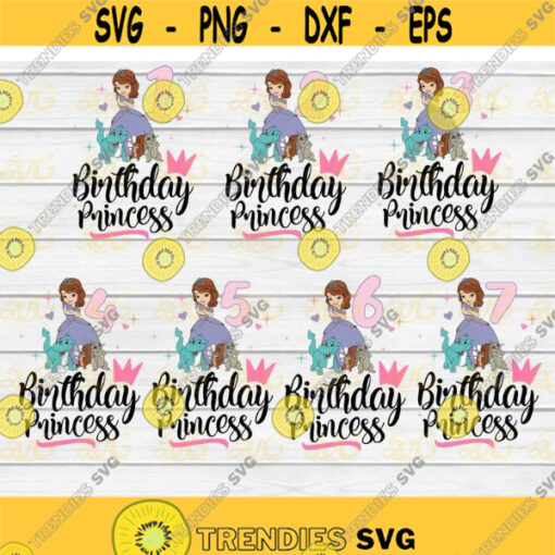 Bundle Birthday princess svg Bundle Birthday svg cricut file clipart svg png eps dxf Design 321 .jpg