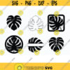 Bundle Monstera Svg. Coaster Monstera Svg. Monstera Cutting file. Monstera Silhouette. Leaves Keychain Svg. Leaves Png. Monstera Outline.