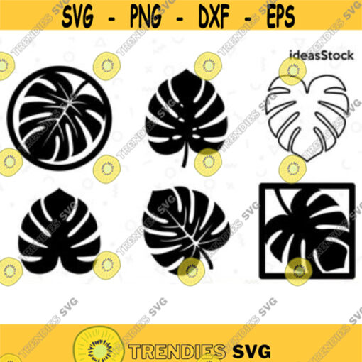 Bundle Monstera Svg. Monstera Cricut. Monstera Cutting file. Monstera Png. Monstera Silhouette. Monstera Decor. Leaves Svg. Coaster Svg.