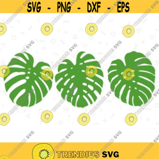 Bundle Monstera svg. Monstera SVG. Monstera Symbol. Leaf Monstera. Monstera Vector. Monstera Templates. Monstera icon. Monstera PNG. EPS.