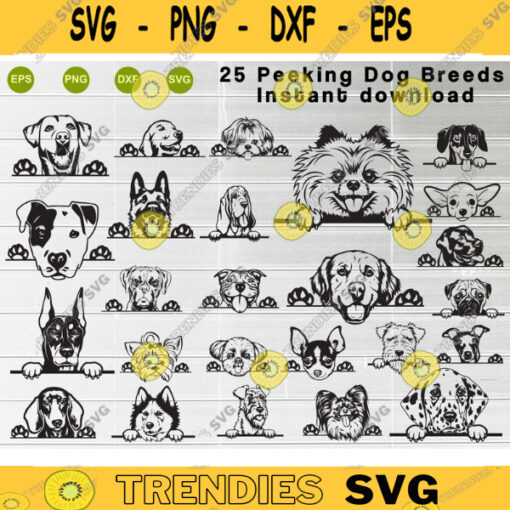Bundle Peeking Dog Breeds SVG Dog svgPeeking Dog Breeds Funny Clip art instant download digital file