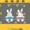 Bunny SVG Easter SVG Bunny split svg Cute Bunny Svg Bunny Face SVG Cricut Silhouette Cut File