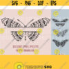 Butterfly Name SVG Bundle Butterfly Clip Art Butterfly SVG Cricut Cutting FIle