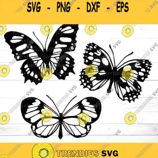 Butterfly svg bundle Butterfly Clipart Butterfly svg Butterfly png Butterfly sublimation realistic butterfly svg butterfly iron on