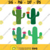 Cactus Cuttable SVG PNG DXF eps Designs Cameo File Silhouette Design 2012