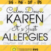 Calm down Karen its just allergies svg funny its allergies svg funny 2020 karen shirt svg Design 104