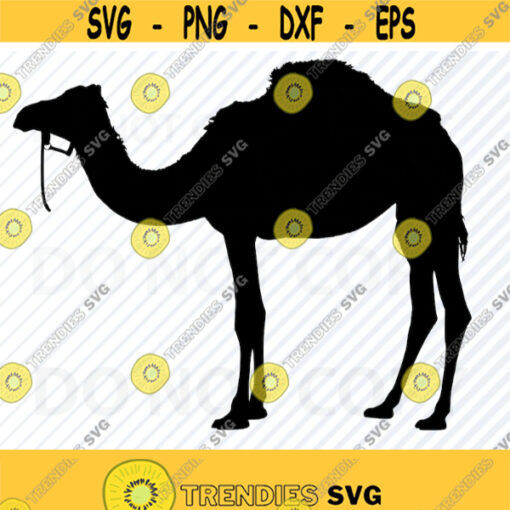 Camel SVG File for Cricut Clip Art Camel Vector Images SVG Files For Silhouette Eps Dxf Camel Png dromedary Svg clipart Design 646