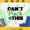 Cant Pinch This SVG Funny Boy St. Patricks Day SVG St.Patty SVG Digital Cut Files