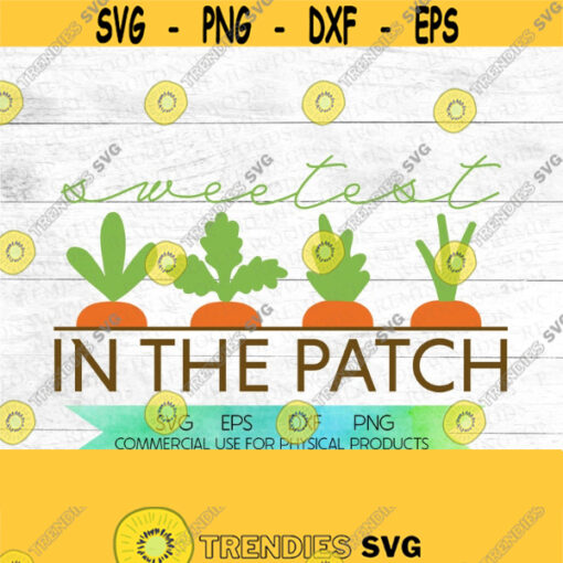 Carrot Spring SVG Sweetest in the patch Easter SVG locally grown DIY Easter Spring Easter Carrots and gardens Design 96