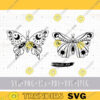 Celestial butterfly SVG Mystical moth SVG files for cricut Insect Butterfly svg PNG clipart Boho moon moth svg Butterfly popular svg