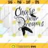 Chase Your Dreams SVG Dream Catcher SVG Files For Cricut Dreamer SVG Inspirational Quote Svg Iron On Transfer Feather svg .jpg