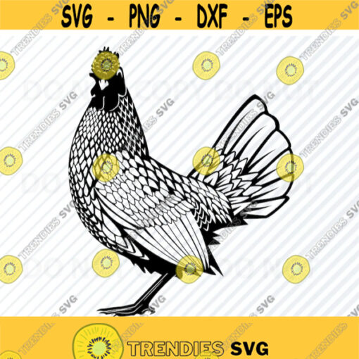 Chicken SVG Files for cricut Clipart Clip Art Silhouette Vector Images Farm animal SVG Image Rooster Eps Png Dxf Chickens chick svg Design 558