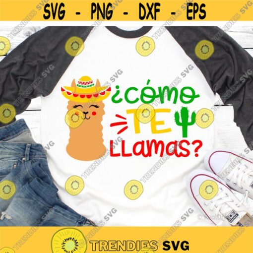 Cinco de Mayo Svg Cinco de Drinko Svg Sombrero Svg Margarita Svg Tequila Svg Fiesta Svg Funny Shirt Svg Cut Files for Cricut Png