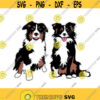 Collie Border Dog Cuttable Design SVG PNG DXF eps Designs Cameo File Silhouette Design 291