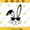 Cool Bunny Decal Files cut files for cricut svg png dxf Design 83