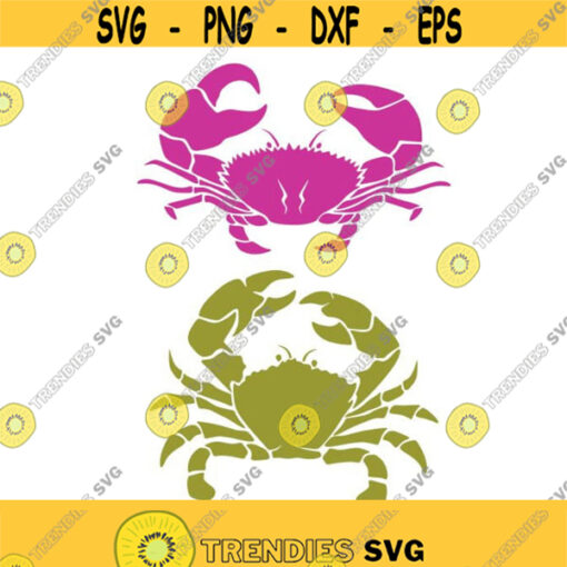 Crab Beach Cuttable Design SVG PNG DXF eps Designs Cameo File Silhouette Design 508