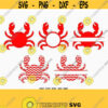 Crab SVG Crab Monogram frames SVG files Beach svg cuts summer monogram svgCriCut Files frames svg jpg png dxf Silhouette cameo Design 272