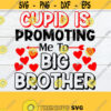 Cupid Is Promoting Me To big brother Valentines Day New Big Brother Big Brother Valentine Valentines Day Pregnancy Announcement SVG Design 1097