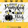Cutest Pumpkin In The Patch Fall Svg Fall Quote Svg Autumn Svg October Svg Farm Svg Farmhouse Fall Svg Fall Sign Svg Fall Decor Svg Design 678