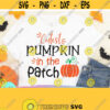 Cutest Pumpkin In The Patch Kids Fall SVG Thanksgiving Svg Files Pumpkin Patch Svg Newborn Svg Fall Shirt Svg Svg Png Eps Dxf Design 673