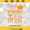 Cutest Pumpkin In The Patch SVG File Pumpkin Cut File Arrow Heart SVG Thanksgiving SVG File Fall Autumn Cut File Cricut Silhouette Design 980