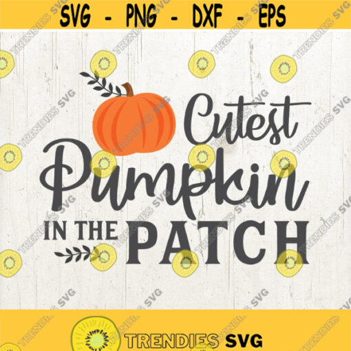 Cutest Pumpkin In The Patch SVG File Pumpkin Cut File pumpkin SVG Thanksgiving SVG File svg Fall Autumn Cut File Cricut Silhouette Design 533