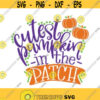 Cutest Pumpkin In The Patch svg Baby Halloween svg Kids Halloween Shirt svg file Cute Halloween Cut File Boy or Girl Fall Shirt svg Design 100
