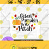 Cutest Pumpkin in the patch. halloween svg. Cute halloween. Pumpkin svg. Leaves svg. Sweet halloween. Cute fall. Design 1032