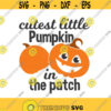 Cutest little pumpkin in the patch svg pumpkin svg thanksgiving svg png dxf Cutting files Cricut Funny Cute svg designs print for t shirt Design 685