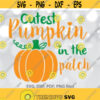 Cutest pumpkin in the patch svg Kids Halloween svg Fall svg Newborn baby svg Pumpkin svg Halloween cut files Halloween Shirt svg Design 119