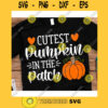 Cutest pumpkin in the patch svgHello Fall shirt svgFall svg DesignsFall svg shirtAutumn svgPumpkins svgFall Silhouette or Cricut