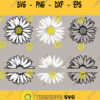 Daisy Svg Daisy Svg Bundle Daisy Split Monogram Svg Daisy Monogram Svg Png Dxf Svg fiels for Cricut Silhouette Sublimation