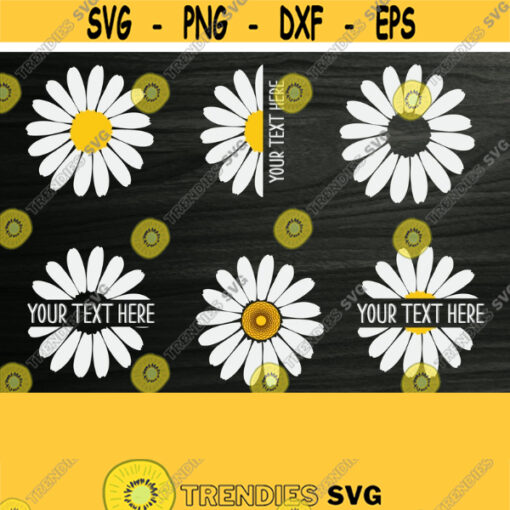 Daisy bundle svg Flower svg Daisy monogram Daisy svg Daisy clipart Daisy png Sunflower svg Floral svg Daisy cut files Half daisy svg Design 87