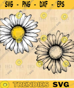 Daisy svg Daisy cut file PNG Printable Daisy bundle svg Flower svg Daisy monogram Svg2 PNG Digital Download 10