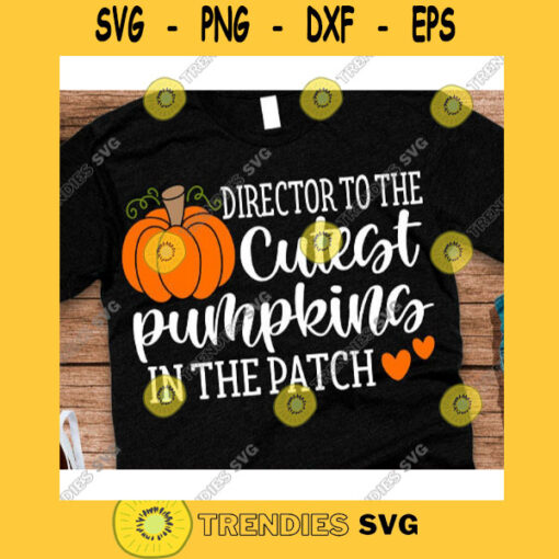 Director to the cutest pumpkins in the patch svgHello Fall shirt svgFall svg DesignsFall svg shirtAutumn svgPumpkins svg