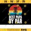 Disc Golf SVG Best Papa by par disc golf svg disc golf golf svg disc golf cricut frisbee svg dxf png Design 423 copy