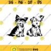 Dog Yorkie Yorkshire Terrier Cute Cuttable Design SVG PNG DXF eps Designs Cameo File Silhouette Design 75