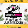 Dont Mess With Grandmasaurus Youll Get Jurasskicked Svg Grandma Dinosaurus Svg
