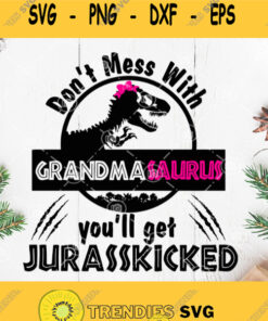 Dont Mess With Grandmasaurus Youll Get Jurasskicked Svg Grandma Dinosaurus Svg Svg Cut Files Svg Clipart Silhouette Svg Cricut Svg File