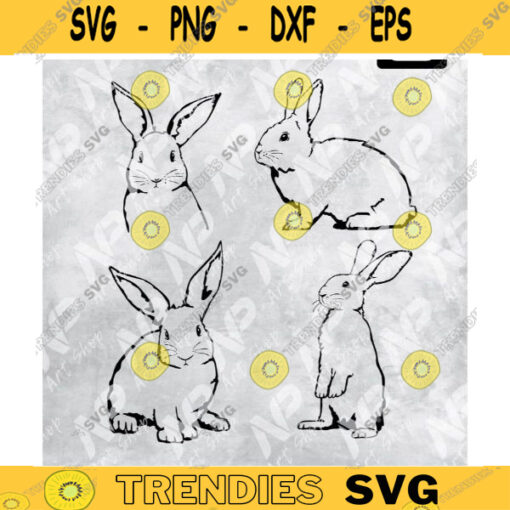 Easter Bunny SVG Rabbit SVG Bunny SVG Spring Svg Farmhouse Sign Svg pet svg Design 147 copy