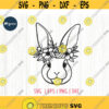 Easter Bunny svg Bunny Face SVG Rabbit with Flower Crown SVG Rabbit cut file Animal Face Cut Files for Cricut Digital Download Design 110