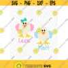 Easter Egg Chick Cuttable Design in SVG DXF PNG Ai Pdf Eps Design 71