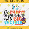 Easter The Bunny Is Promoting Me To Big Brother Svg Png Clipart Silhouette