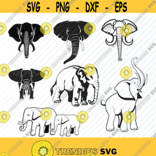 Elephant SVG Bundle Vector Images Clipart Africa SVG Image For Cricut Elephants svg files Eps Png Dxf African Elephant Clip Art Design 202