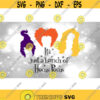 Entertainment Clipart Silhouettes of Sanderson Sisters with Its Just a Bunch of Hocus Pocus Inspired by Movie Digital Download SVGPNG Design 1449